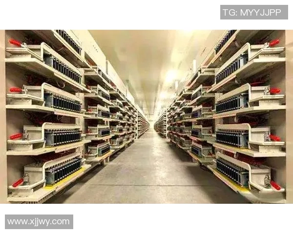 广州排球队的节奏解析：深度探讨排球运动的魅力与技巧